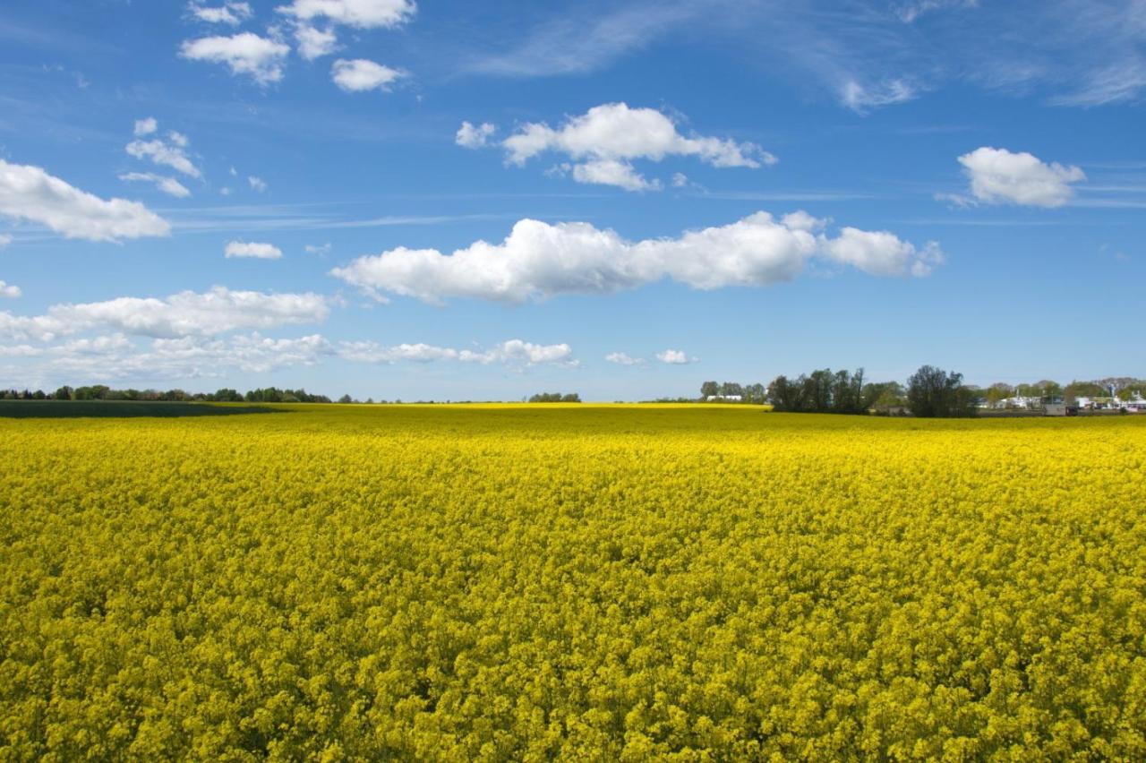 Ferienwohnungen Göhren Goehren  Exterior foto